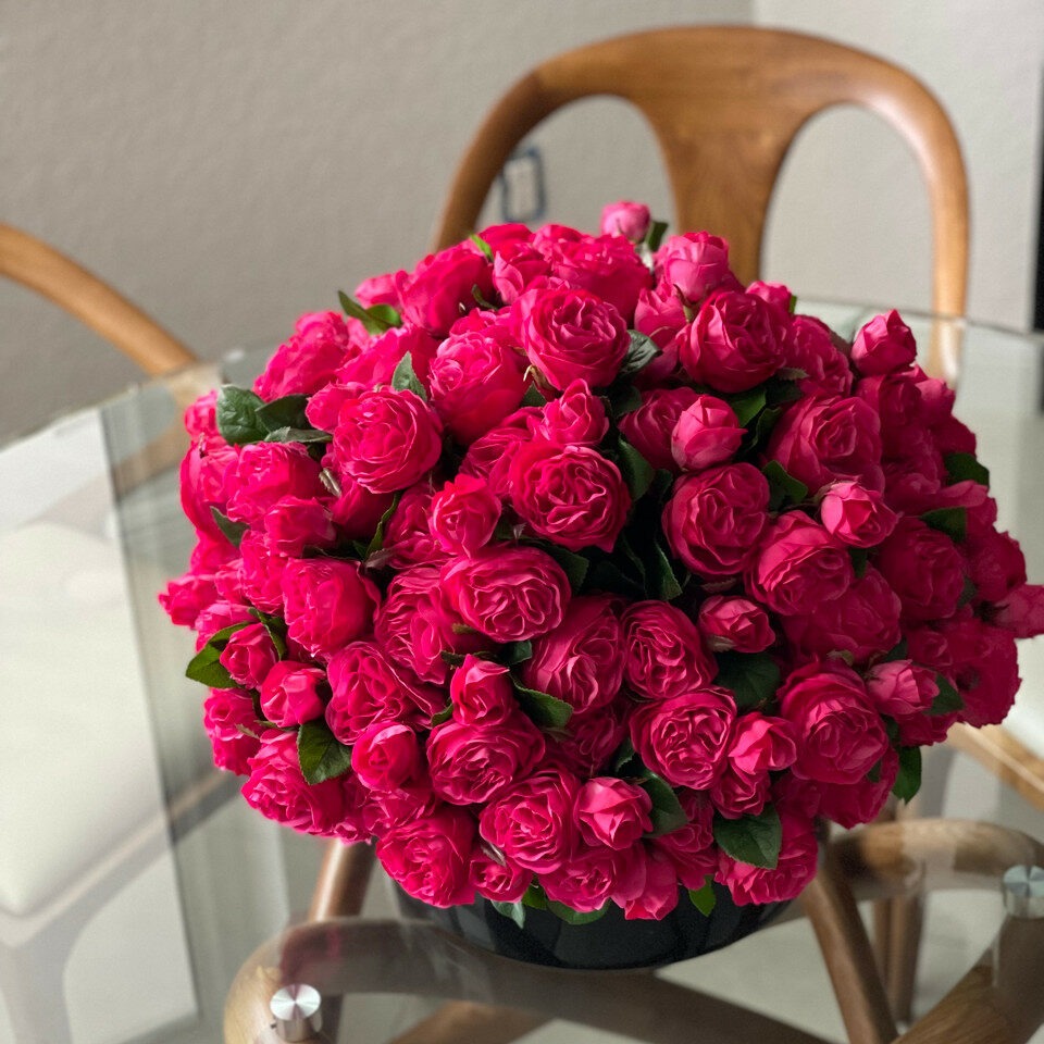 Rosas inglesas de color rosa oscuro en macetero de vidrio negro.