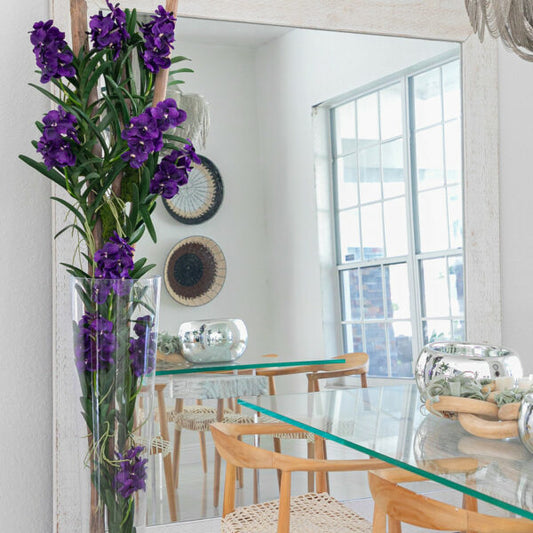 Orquídeas Vanda moradas y madera flotante dentro del cilindro de vidrio cónico