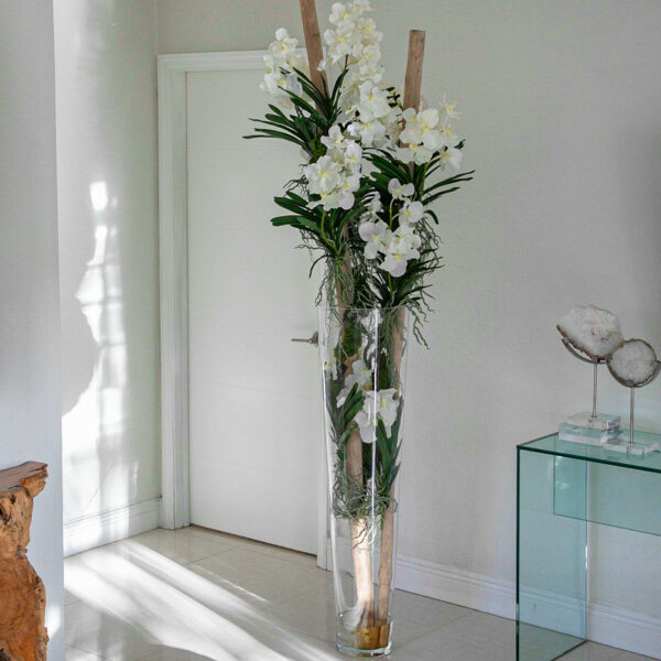 Orquídeas Vanda blancas y madera flotante dentro del cilindro de vidrio cónico de grandes dimensiones