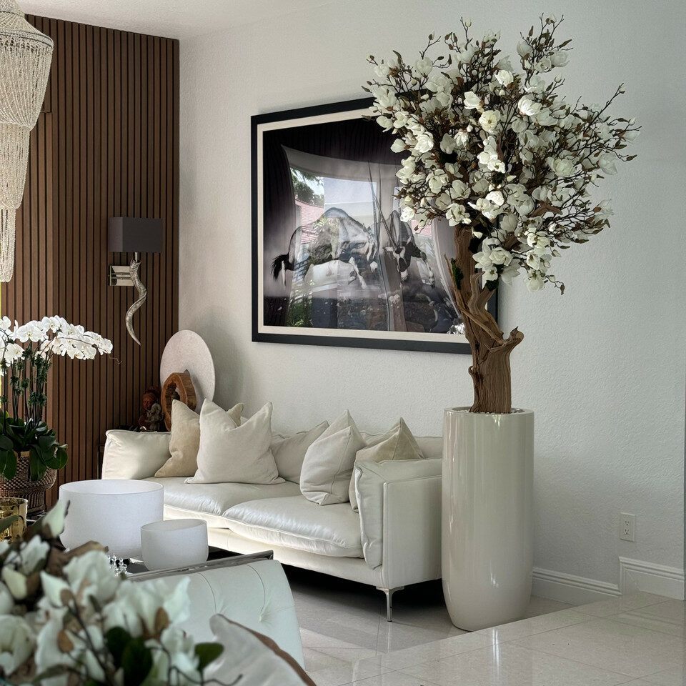 Árbol de magnolia blanca en macetero St. Tropez beige brillante