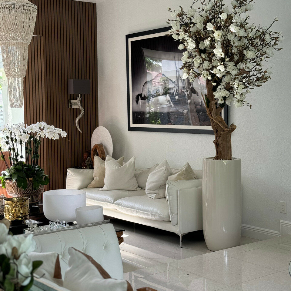 Árbol de magnolia blanca en macetero St. Tropez beige brillante