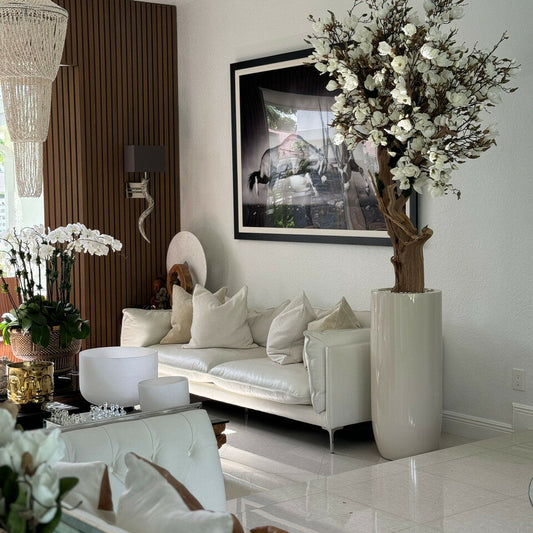 Árbol de magnolia blanca en macetero St. Tropez beige brillante