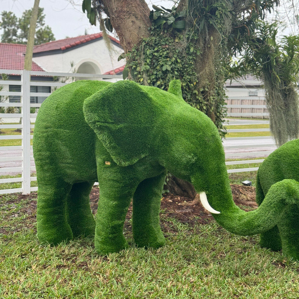 Topiaria Elefante Mediano